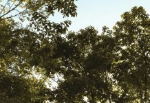 Condición espiritual