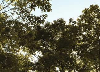 Condición espiritual