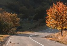 Tomar decisiones sabias