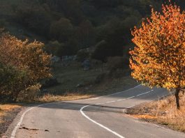 Tomar decisiones sabias