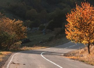 Tomar decisiones sabias