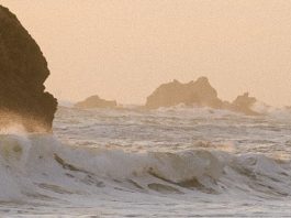 Asociación con Dios