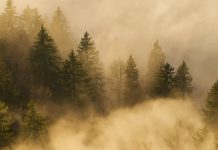 La luz de Cristo resplandece