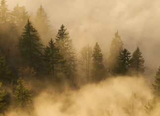 La luz de Cristo resplandece