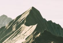 Orden de alejamiento