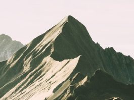 Orden de alejamiento