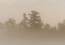 Una respuesta agradecida