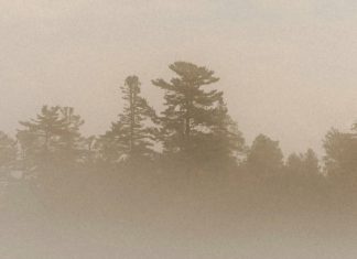 Una respuesta agradecida