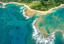 El valor para obedecer