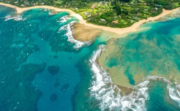 El valor para obedecer