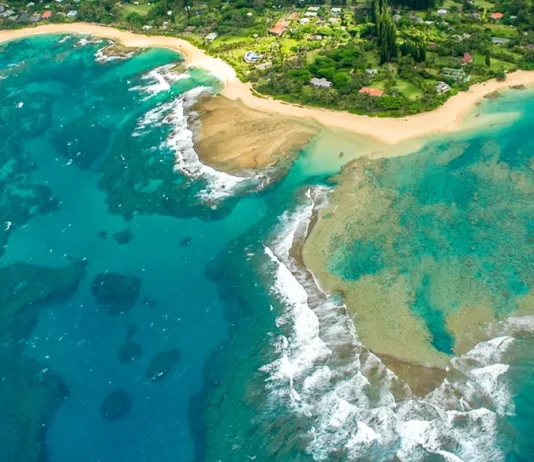 El valor para obedecer