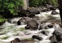 La gracia para seguir adelante