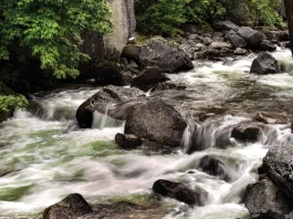 La gracia para seguir adelante