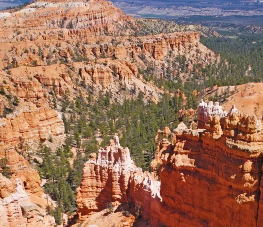 Cuando Dios nos hace esperar