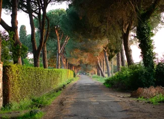 El poder de la oración