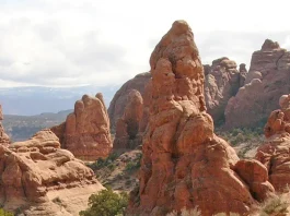 Nuestra rendición de cuentas