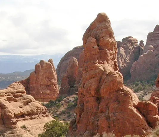 Nuestra rendición de cuentas