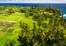 El alejamiento de la Palabra de Dios