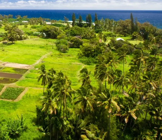 El alejamiento de la Palabra de Dios