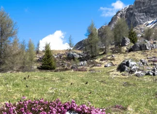 Cómo aplicar los principios de Dios