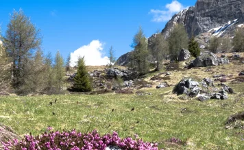 Cómo aplicar los principios de Dios