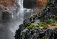 Victoria sobre la falta de perdón