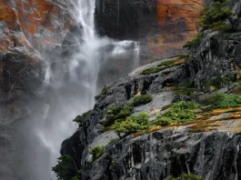 Victoria sobre la falta de perdón