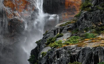 Victoria sobre la falta de perdón