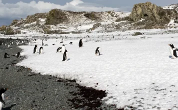 El proceso del quebrantamiento