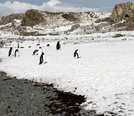 El proceso del quebrantamiento