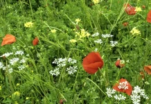 Los cristianos en el lugar de trabajo