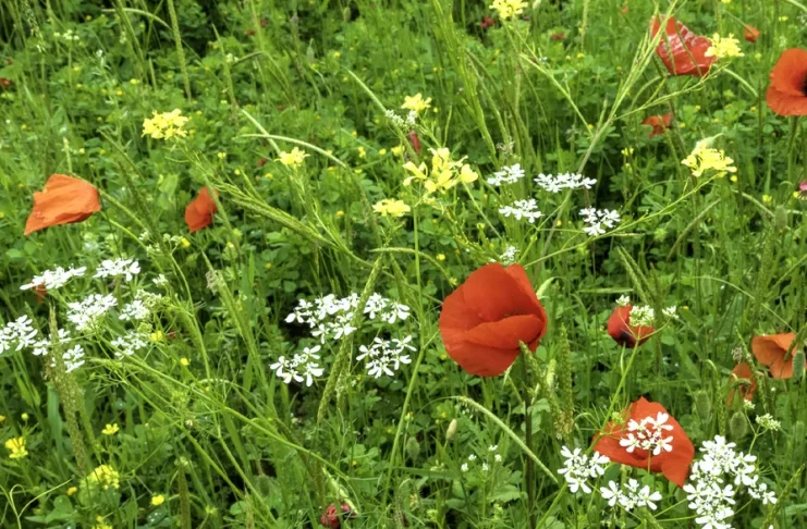 Los cristianos en el lugar de trabajo