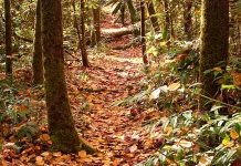 Para entender la culpa