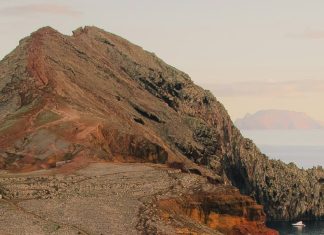 Cuando la vida se manifestó