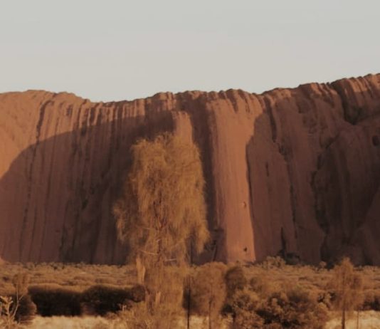 Oración por la voluntad de Dios
