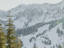 El espíritu navideño