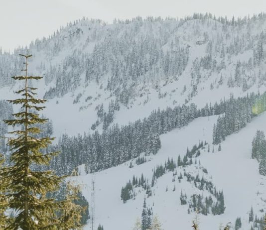 El espíritu navideño