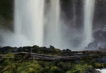 La presencia protectora de Dios