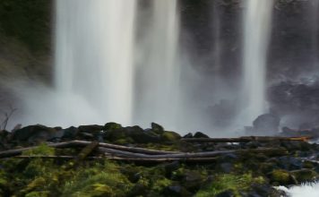 La presencia protectora de Dios