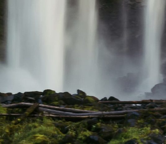 La presencia protectora de Dios