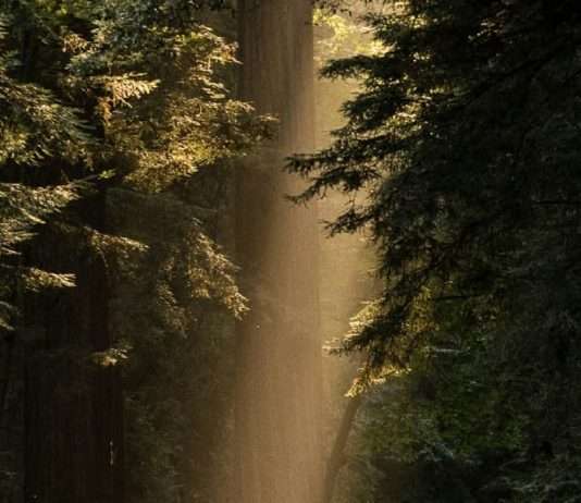 Amor tan fuerte como la muerte