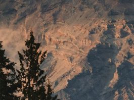 Bienvenido, niño Jesús