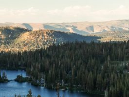 Videollamada con Dios