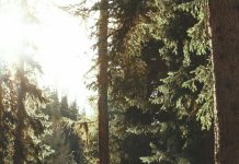 ¿Por qué yo, Dios?