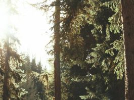 ¿Por qué yo, Dios?