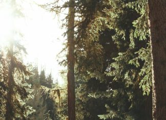 ¿Por qué yo, Dios?