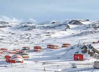 La alabanza: Una expresión de amor