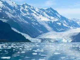 Cómo vencer la envidia