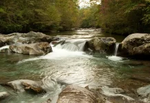 Quebrantamiento y protesta