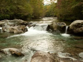 Quebrantamiento y protesta